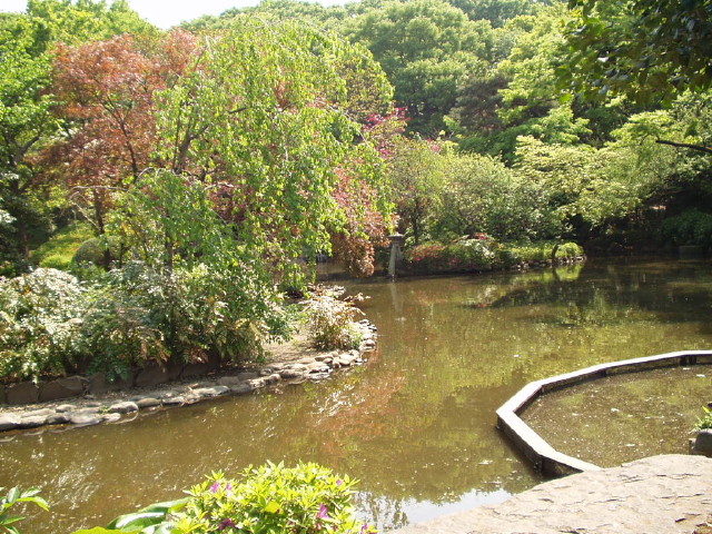 img0001.jpg