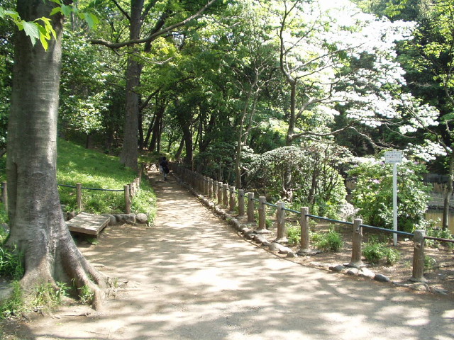 img0003.jpg
