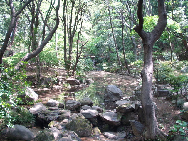 img0004.jpg
