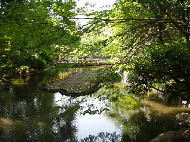 img0005.jpg