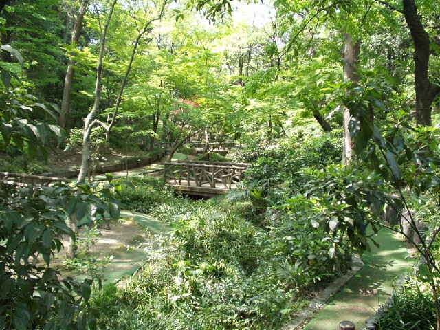img0007.jpg