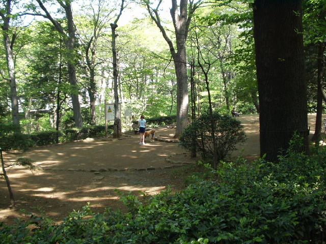 img0008.jpg