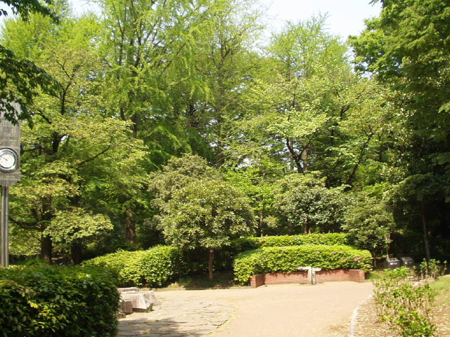 img0010.jpg