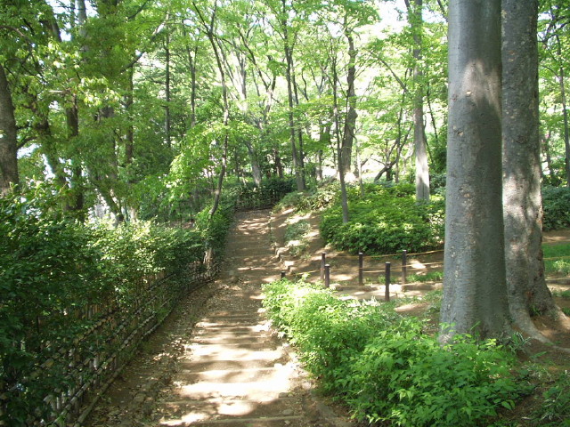 img0011.jpg