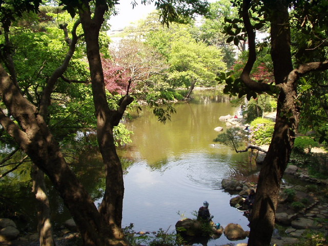 img0012.jpg