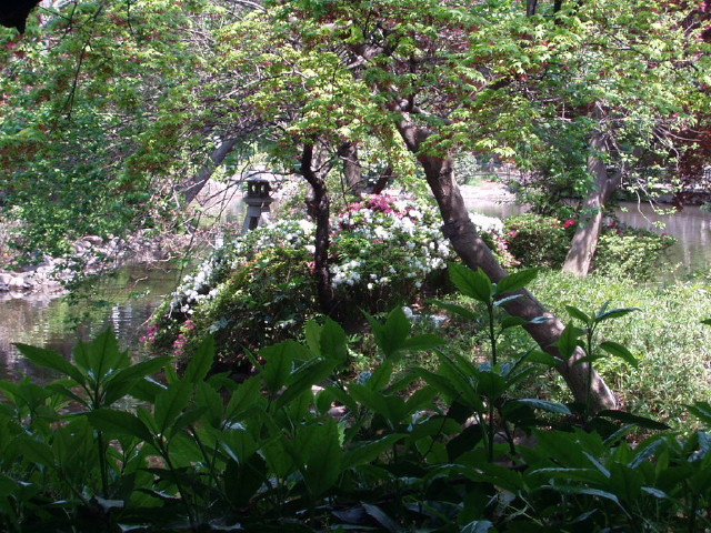 img0015.jpg