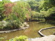 img0001.jpg