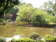 img0002.jpg