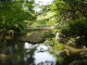 img0005.jpg