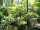 img0006.jpg