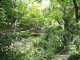 img0007.jpg