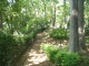img0011.jpg
