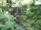 img0013.jpg