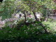 img0015.jpg