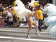 img0007.jpg