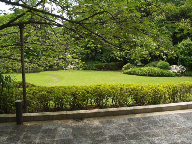 img0001.jpg
