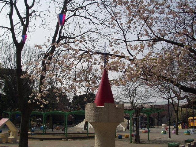 img0012.jpg