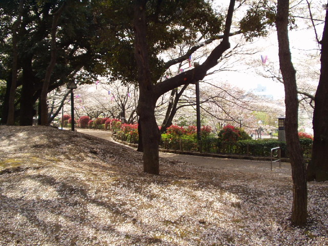 img0014.jpg