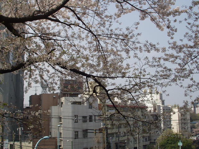 img0016.jpg