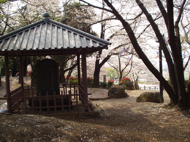 img0017.jpg
