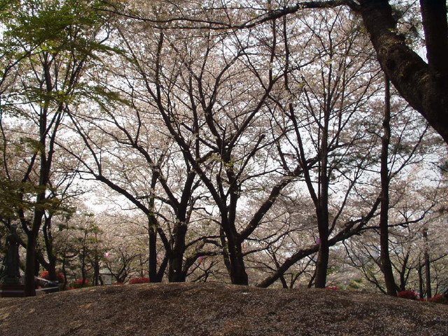 img0018.jpg