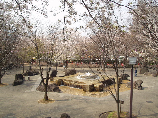 img0019.jpg