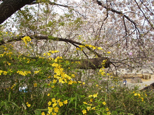 img0020.jpg