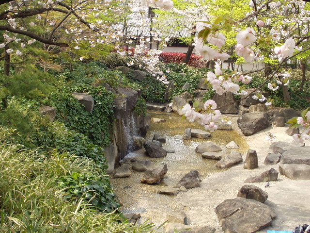 img0021.jpg