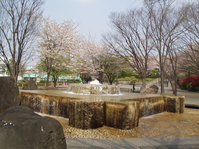 img0024.jpg