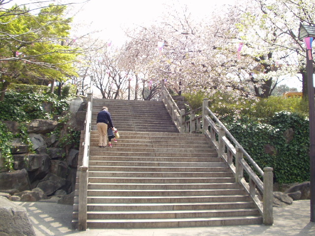 img0025.jpg