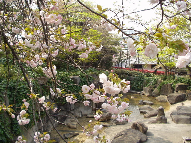 img0026.jpg