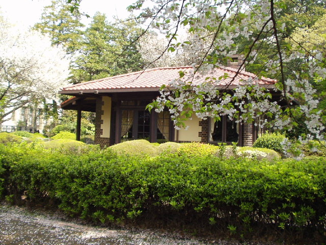 img0035.jpg