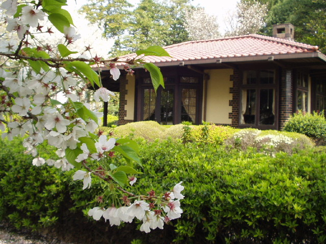 img0036.jpg