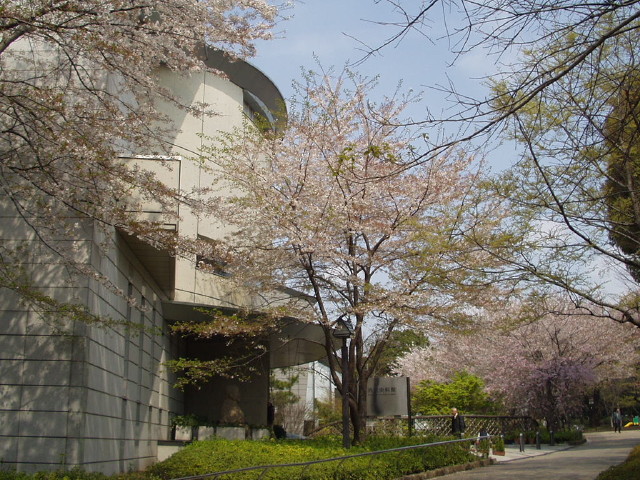 img0037.jpg