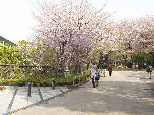 img0038.jpg