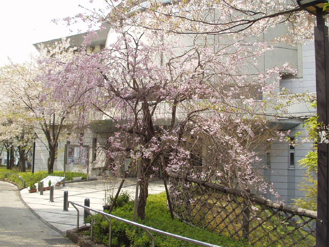 img0041.jpg