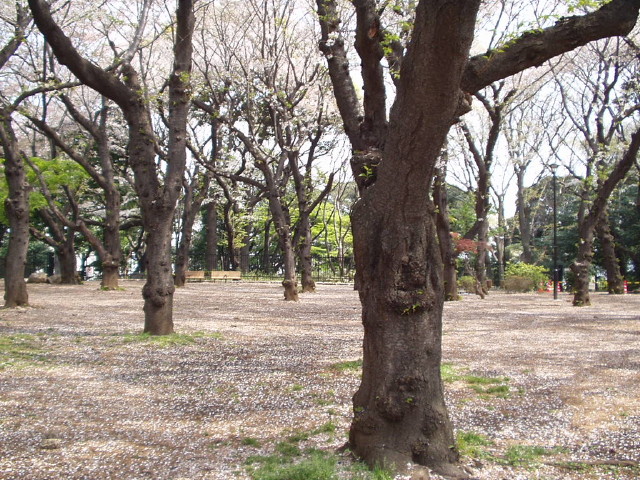 img0042.jpg