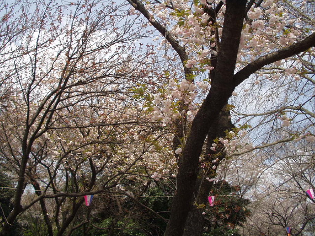 img0045.jpg