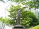 img0005.jpg