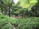 img0006.jpg