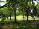 img0007.jpg