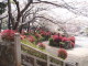 img0015.jpg