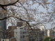img0016.jpg
