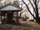 img0017.jpg