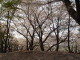img0018.jpg