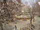 img0022.jpg