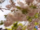 img0023.jpg