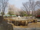 img0024.jpg