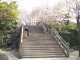img0025.jpg