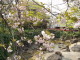 img0026.jpg